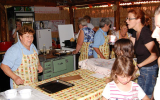 141-Toti-falunap-2014