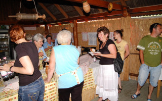143-Toti-falunap-2014