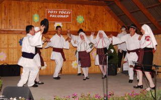 212-Toti-falunap-2014