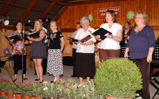 215-Toti-falunap-2014