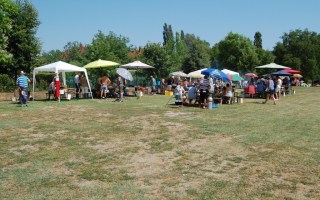 02-Falunap-2017