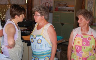 04-Falunap-2017