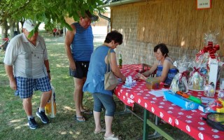 08-Falunap-2017