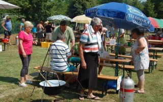 13-Falunap-2017
