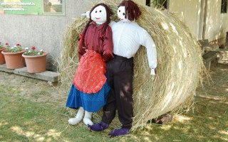 25-Falunap-2017