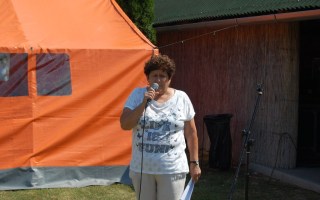 27-Falunap-2017