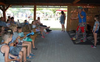 29-Falunap-2017