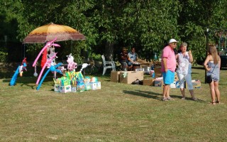 37-Falunap-2017