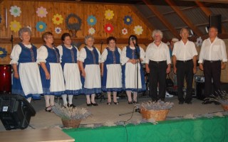 43-Falunap-2017