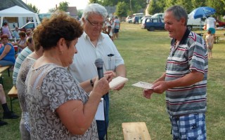 54-Falunap-2017