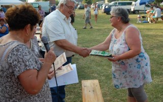55-Falunap-2017