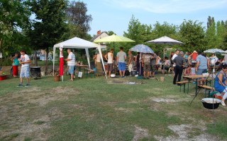 71-Falunap-2017