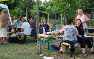 78-Falunap-2017