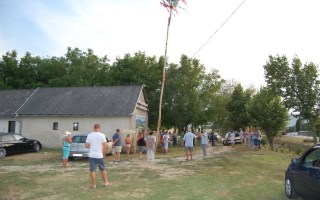 81-Falunap-2017