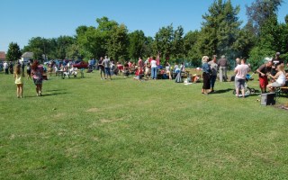 10-Falunap-2018