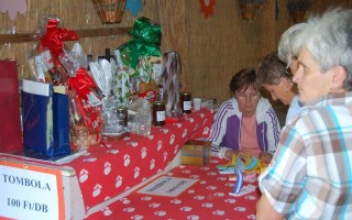 23-Falunap-2018