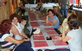 25-Falunap-2018