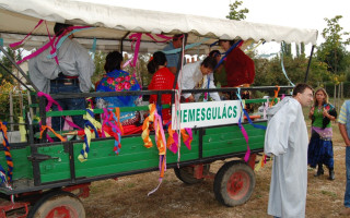 014-Szureti-felvonulas-2009