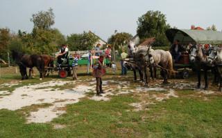 058-Szureti-felvonulas-2009
