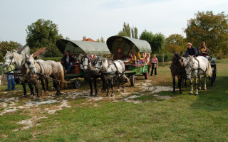 059-Szureti-felvonulas-2009