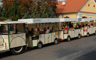 079-Szureti-felvonulas-2009