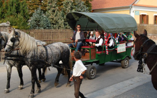 083-Szureti-felvonulas-2009