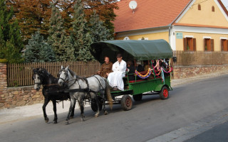 085-Szureti-felvonulas-2009