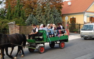 091-Szureti-felvonulas-2009