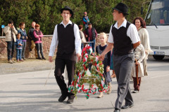 Szüreti felvonulás 2011