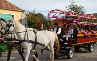 006-Szureti-felvonulas-2011