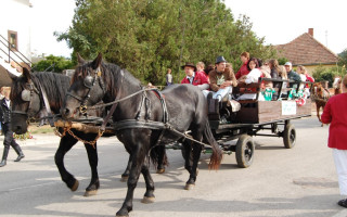 010-Szureti-felvonulas-2011