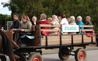 013-Szureti-felvonulas-2011