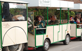 020-Szureti-felvonulas-2011