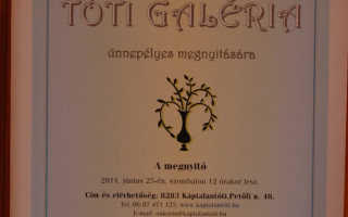 02-Toti-Galeria-megnyito