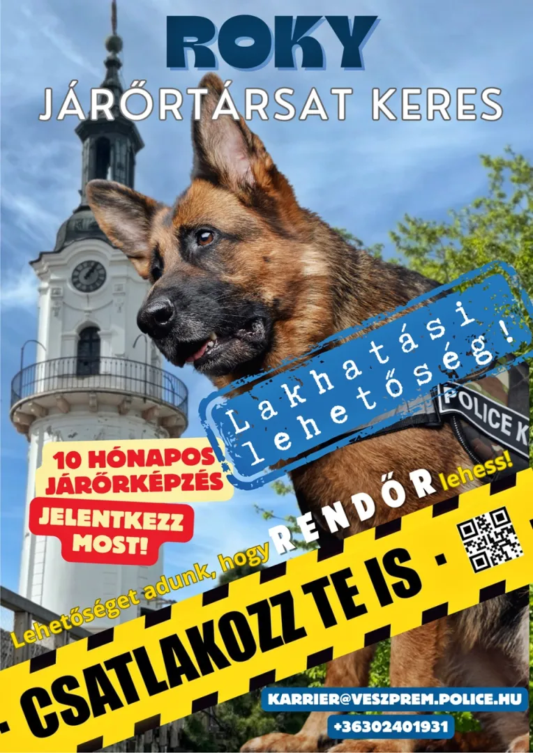 plakat police 6 2026